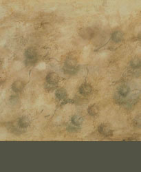 Silverpoint and Encaustic Gallery